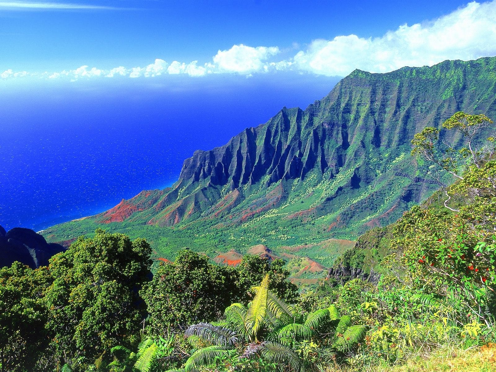 South Pacific scenery