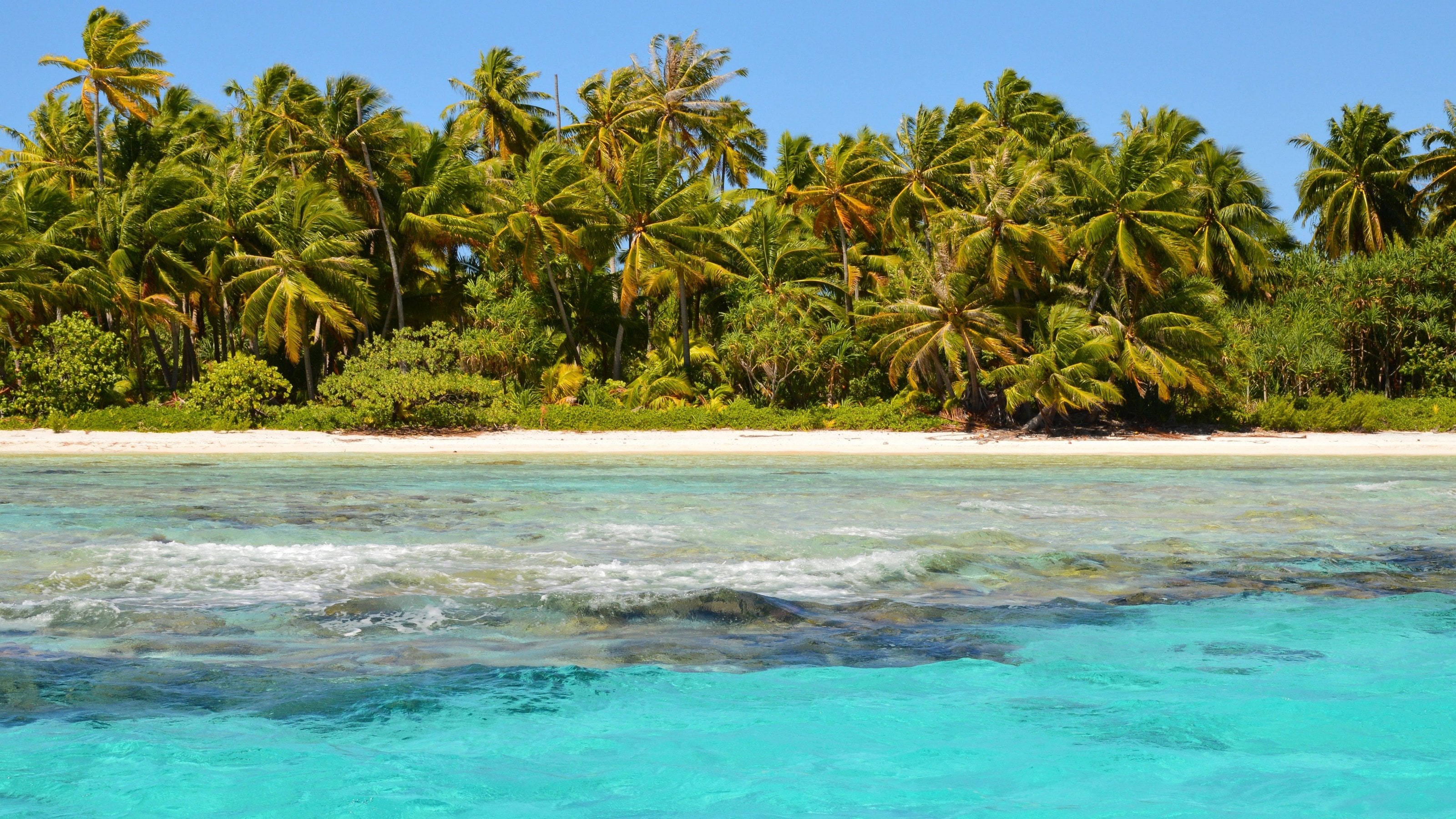 Motu palms over the reef, French Polynesia