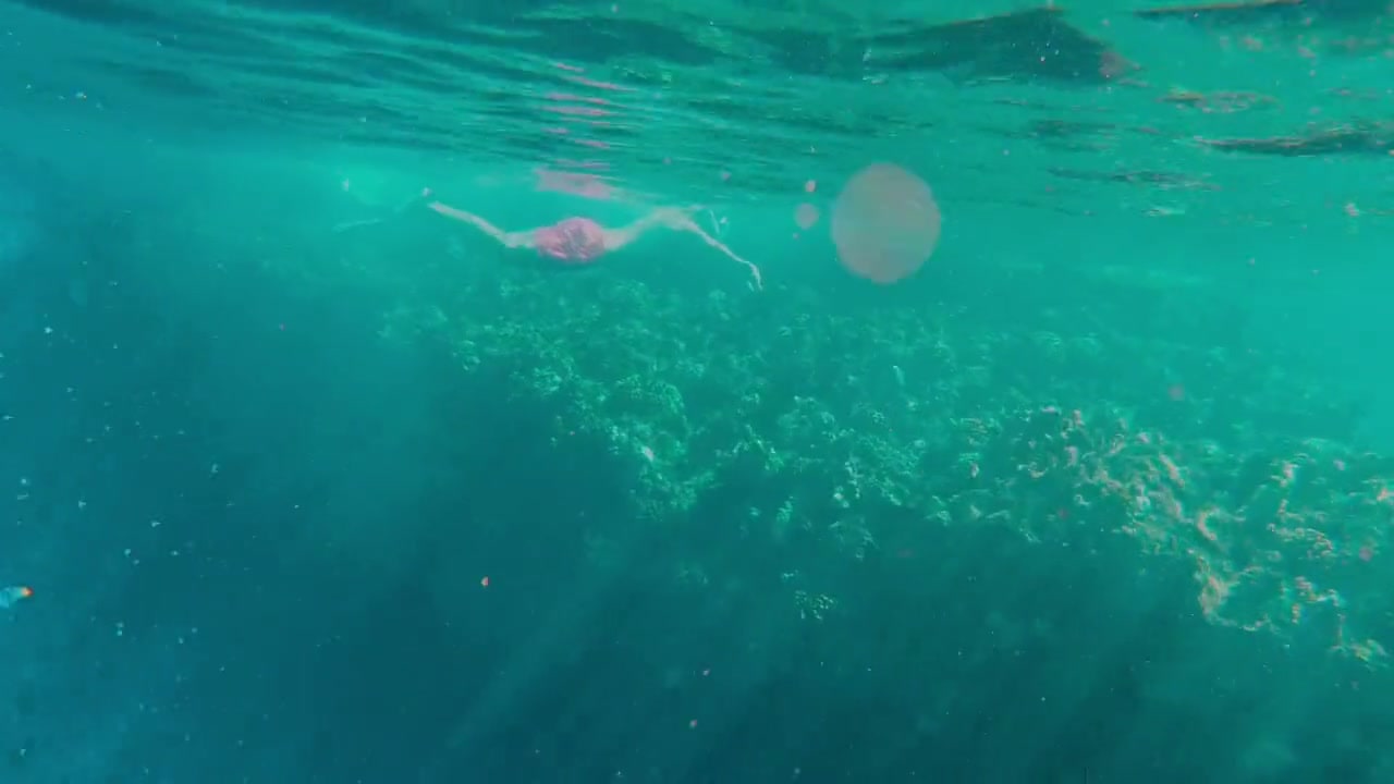 Swimming in glass-clear water
